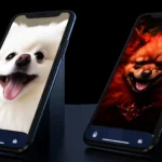 Side-by-side comparison of a Facebook post on a mobile device, featuring an adorable white dog on the left and a menacing, evil-looking dog on the right. This image represents the deceptive nature of Facebook Pet Adoption posts.