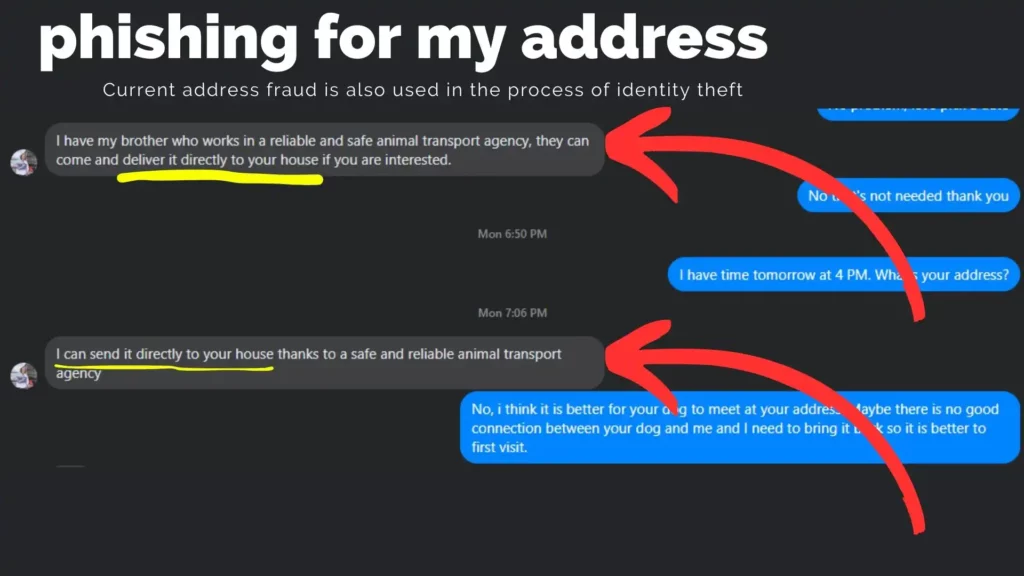 Screenshot of chat with Facebook Pet Adoption Scammer attempting to obtain personal address for potential identity theft, burglary, or kidnapping.