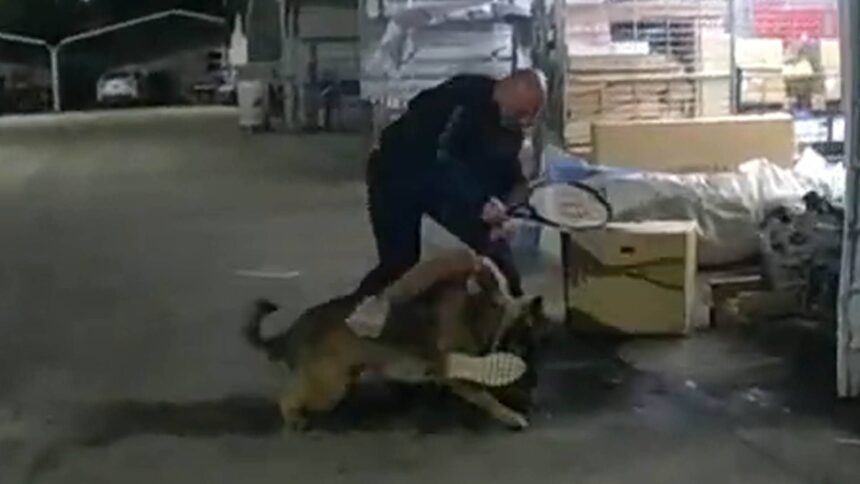 Daytona Beach Police Officer striking a man with a tennis racket while a K-9 dog is biting the man.